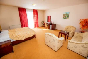 Hotel Boss - Apartmán Lux izba