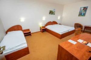 Trojlozkova-Lux-spalna.webp